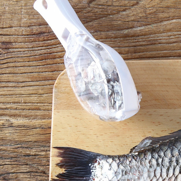 Fish Skin Scaler Tool